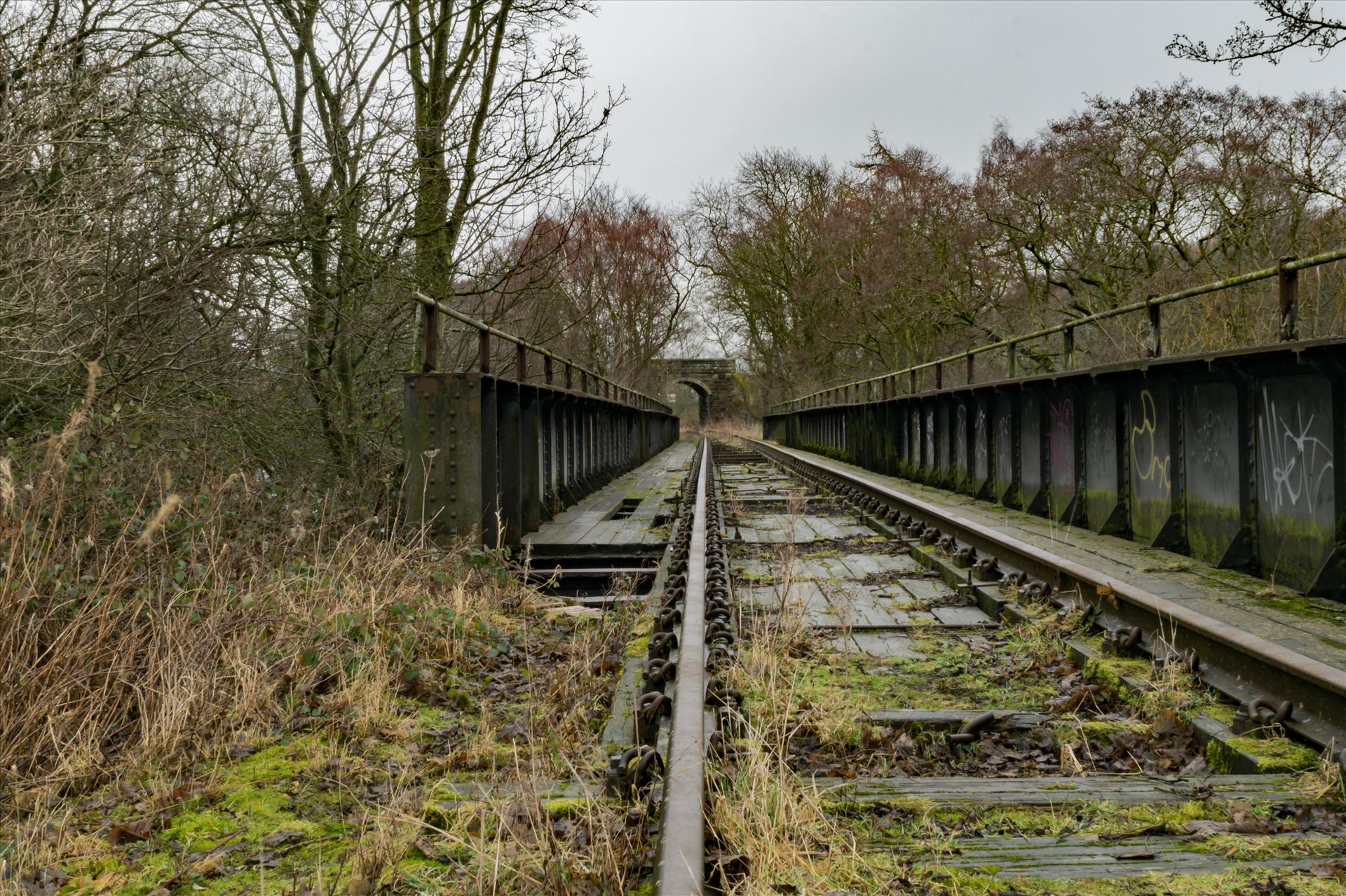 Abandoned Railway Bridge - Taken on 11/01/18 near Stanhope by AJ Stoves Photography