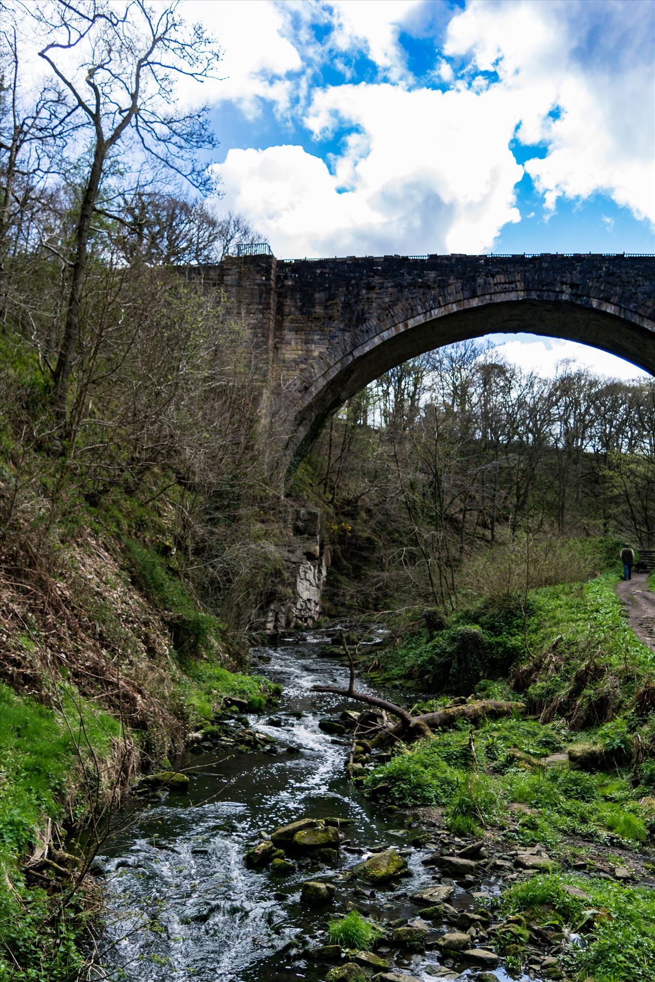 Stream Under Arch - Taken close to Tanfield Railway in the summer of 2017 by AJ Stoves Photography